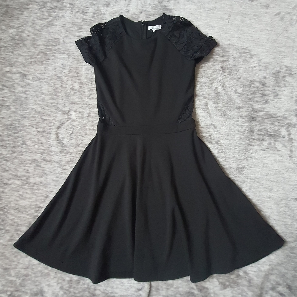 Parker Lace Short Sleeve Dress Fit and Flare Skater Lace Sides Size M NWT $242 - Picture 9 of 15